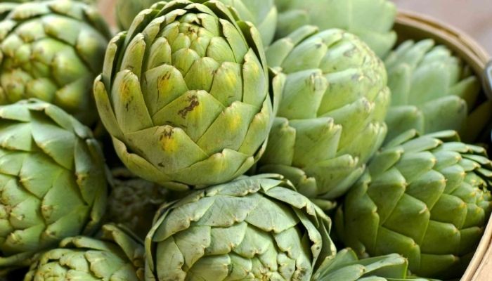 Trà atiso và các sản phẩm chiết xuất từ atiso giúp hỗ trợ chức năng gan, giảm nóng