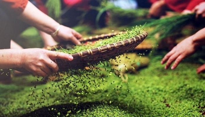 Khác với nhiều món ăn cầu kỳ, cốm mang đến một trải nghiệm ẩm thực rất “chậm”