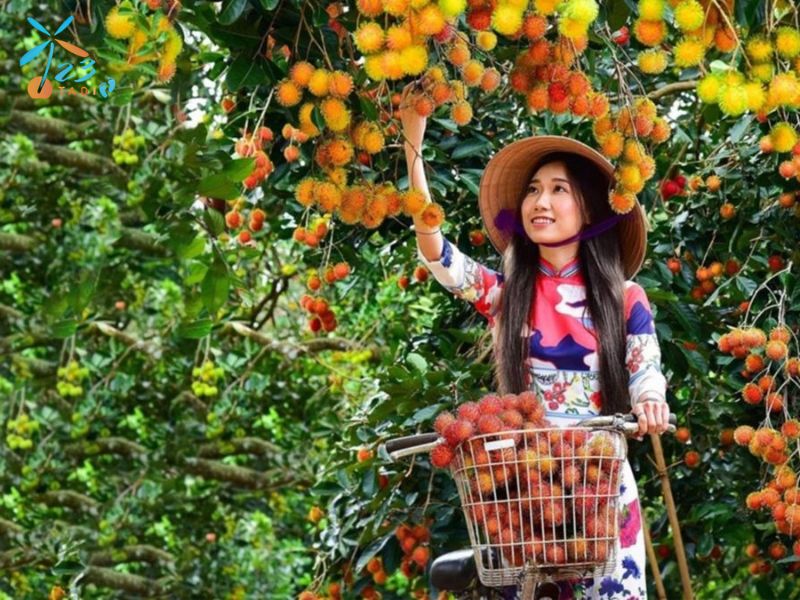 Thưởng thức trái cây miệt vườn tại Cù lao Tân Phong