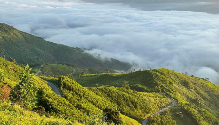 Chiêm ngưỡng khung cảnh thiên nhiên hùng vĩ tại đèo