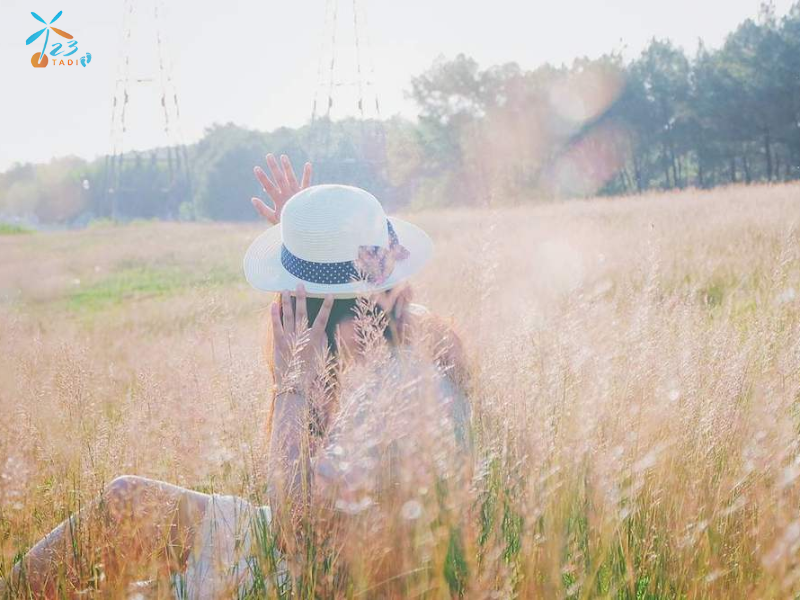 Đồi Ngọc Linh - điểm check-in thu hút nhiều du khách