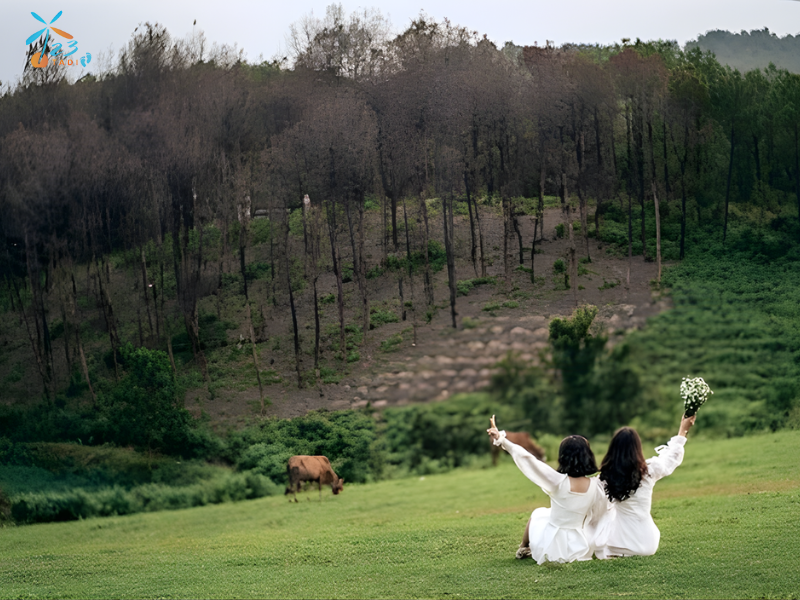 Khám phá đồi Ngọc Linh thơ mộng tại Huế