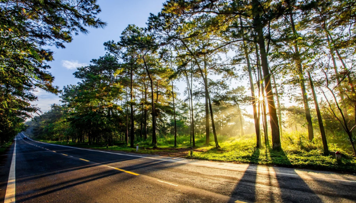 Măng Đen ở đâu?