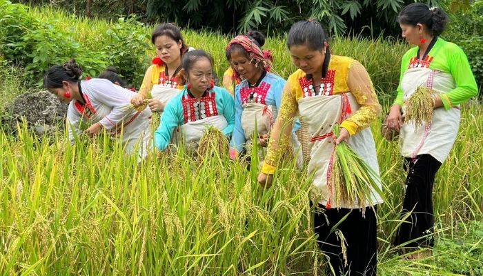 Lễ Hội Mừng Lúa Mới