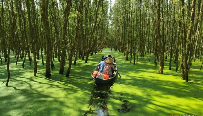 Rừng tràm Trà Sư An Giang