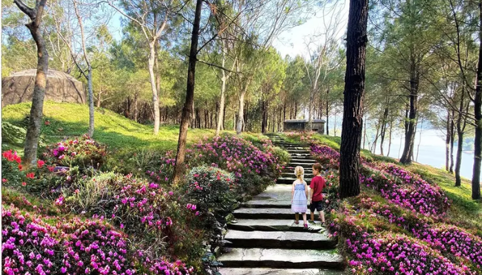 Không gian bình yên xanh mát giữa núi đồi