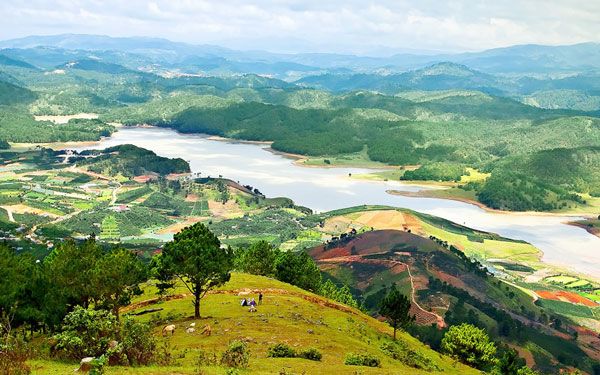 Đồi Robin Đà Lạt
