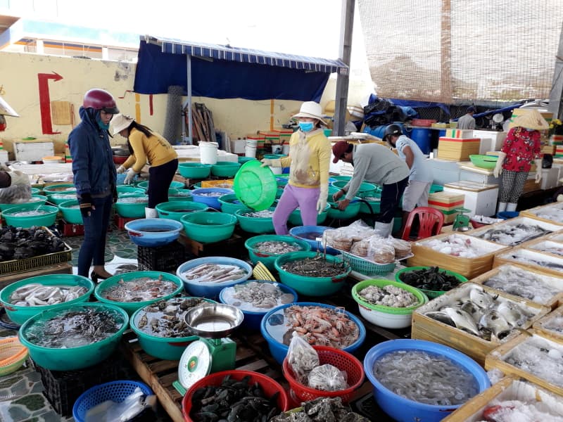 Địa điểm chợ tại cảng cá Vĩnh Trường Nha Trang