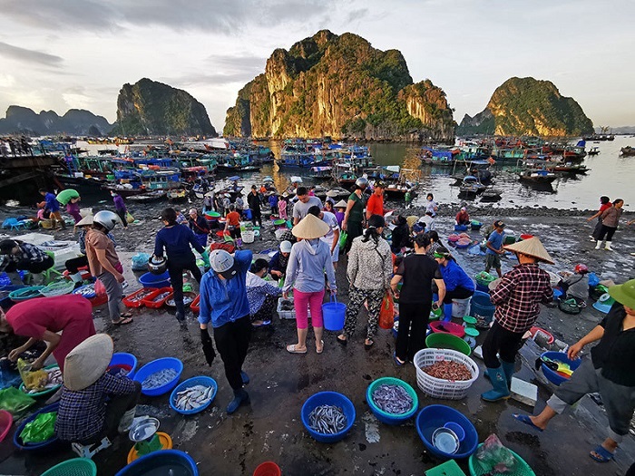 Địa điểm du lịch chợ cá Hạ Long Quảng Ninh