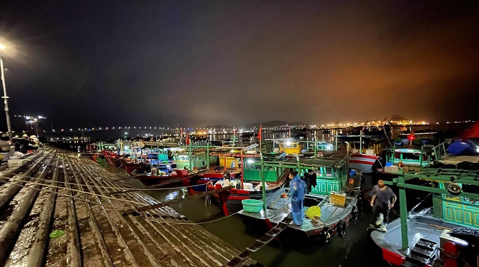 Địa điểm du lịch chợ cá Hạ Long Quảng Ninh