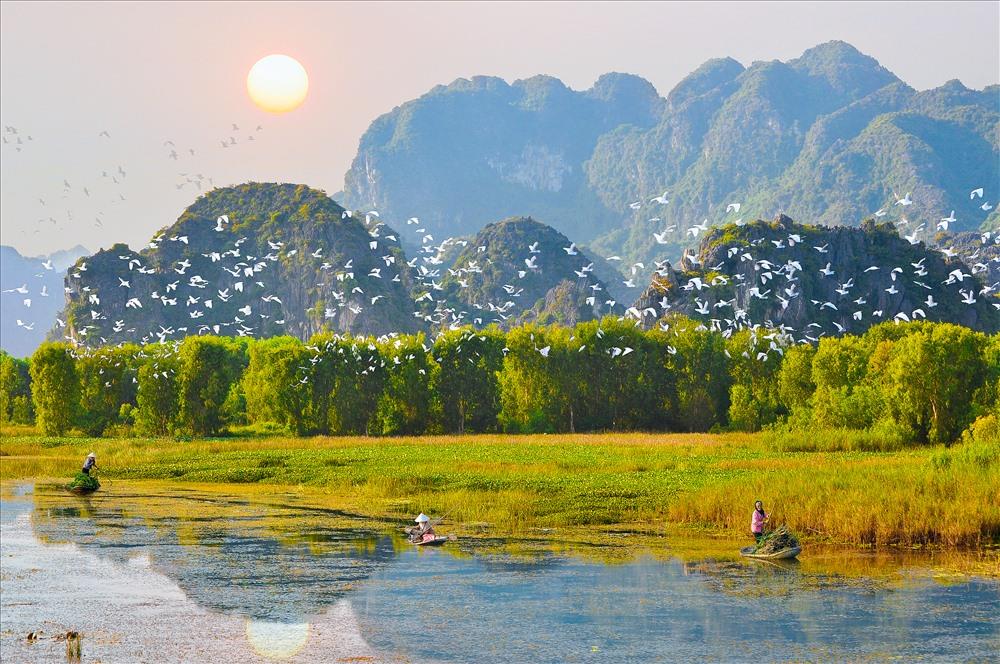 Địa điểm du lịch vườn chim Thung Nham Ninh Bình