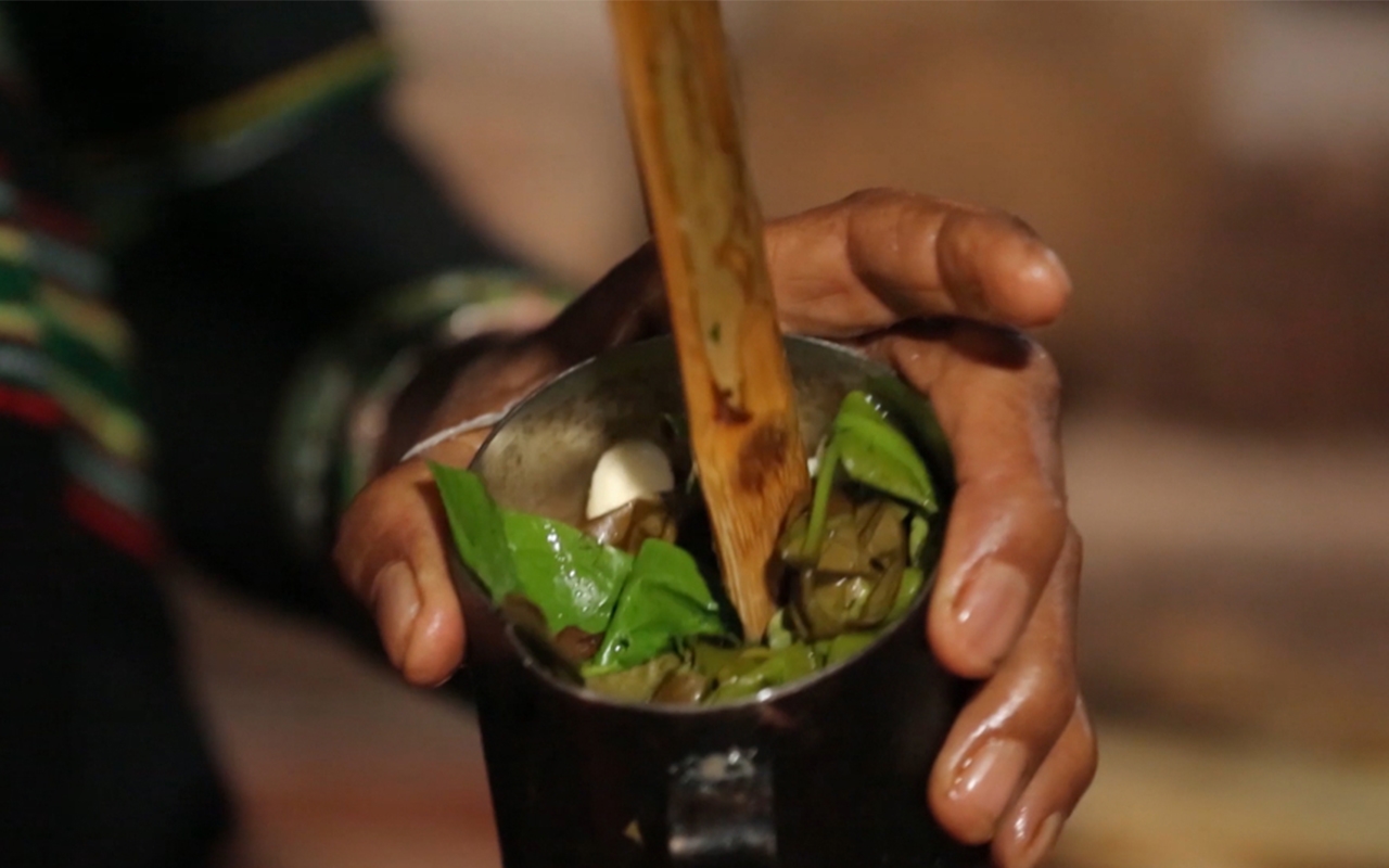 Canh thụt đọt mây