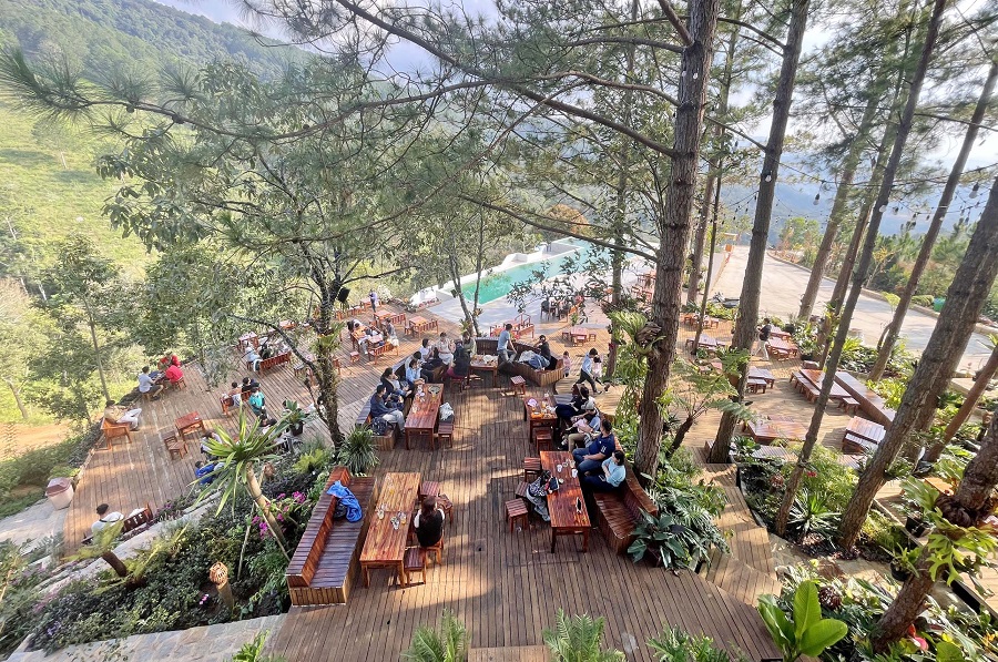 Cao Nguyên Hoa Đà Lạt