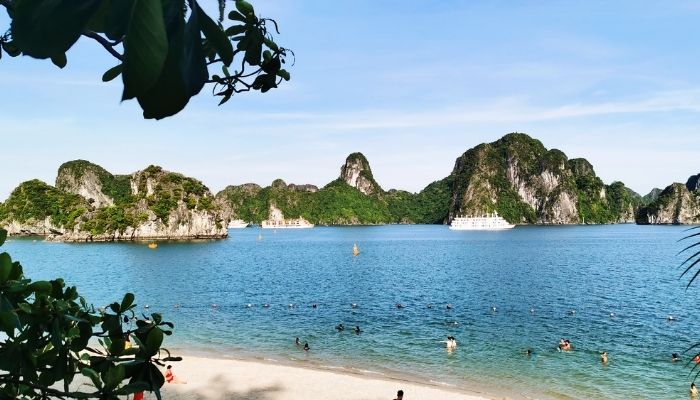 Đảo Ti Tốp