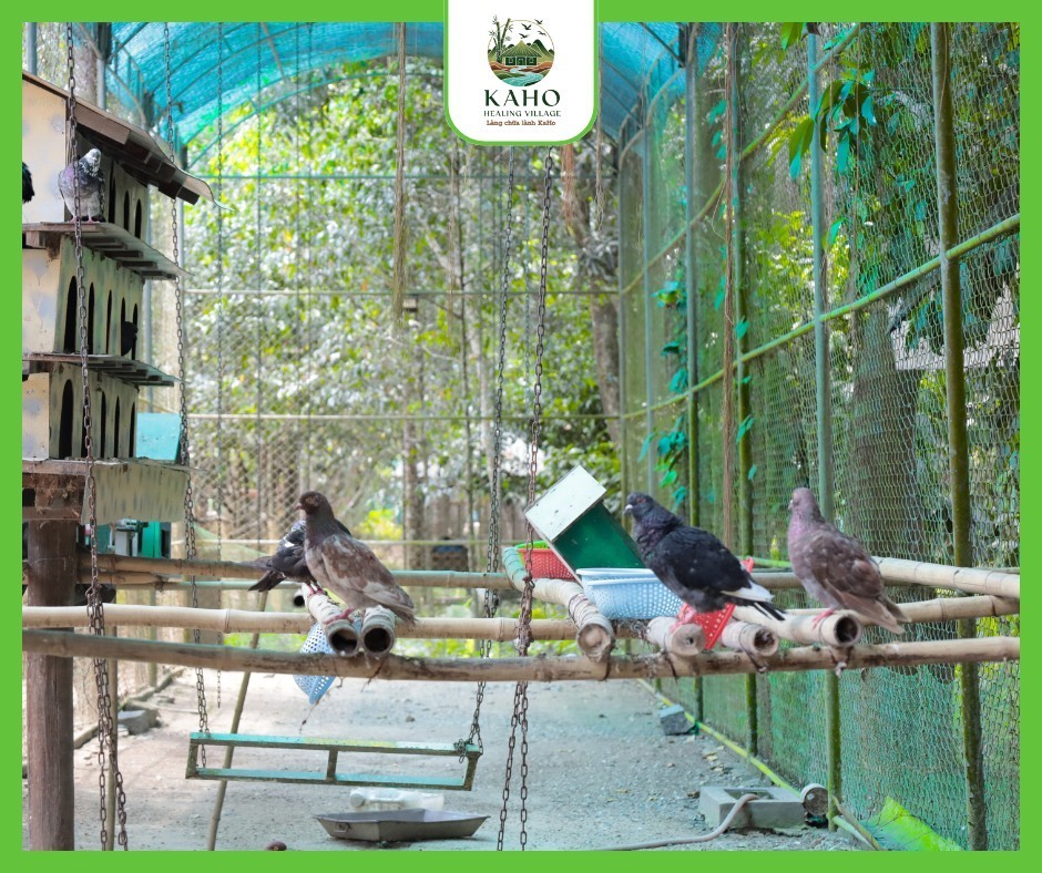Kaho Healing Village