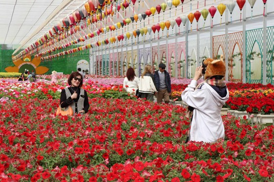 Khách du lịch ghé thăm Đà Lạt dịp Festival hoa