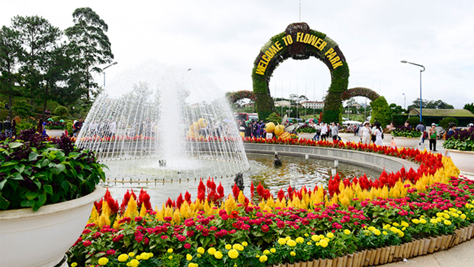 Khung cảnh vườn hoa thành phố Đà Lạt