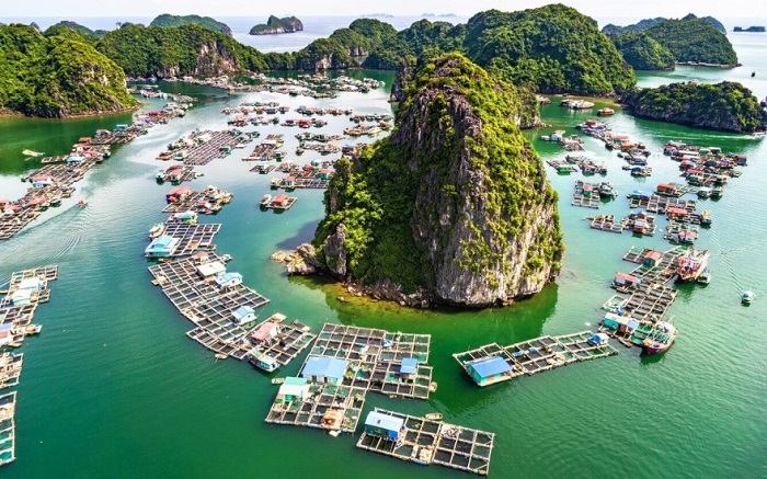 Làng nổi Cái Bèo