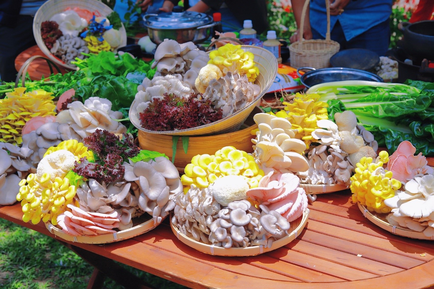 Lẩu nấm Đà Lạt