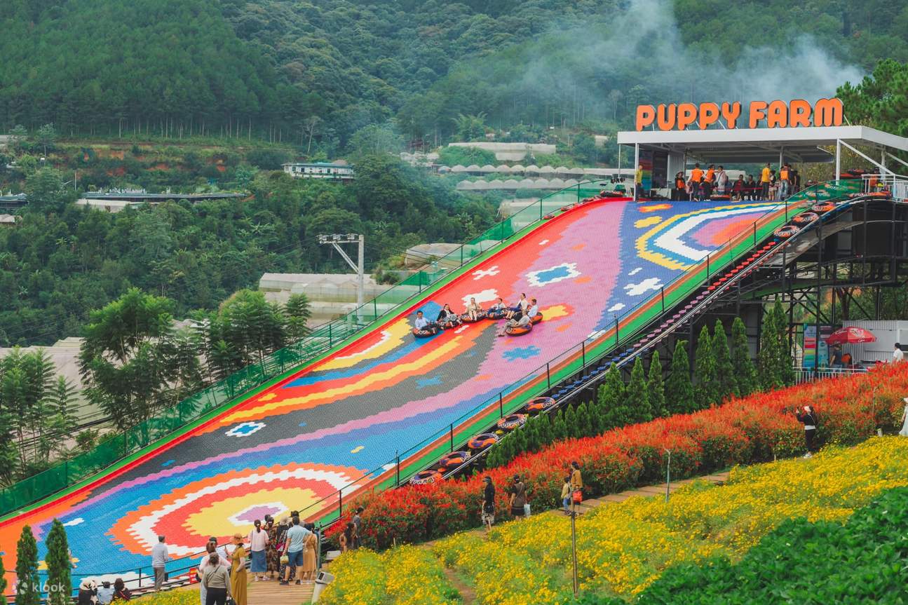 Puppy Farm Đà Lạt