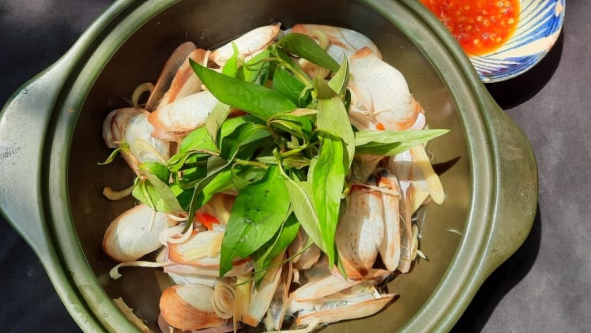 Tu hài (ốc vòi voi)