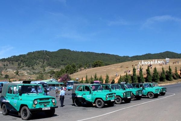 Xe Jeep địa hình