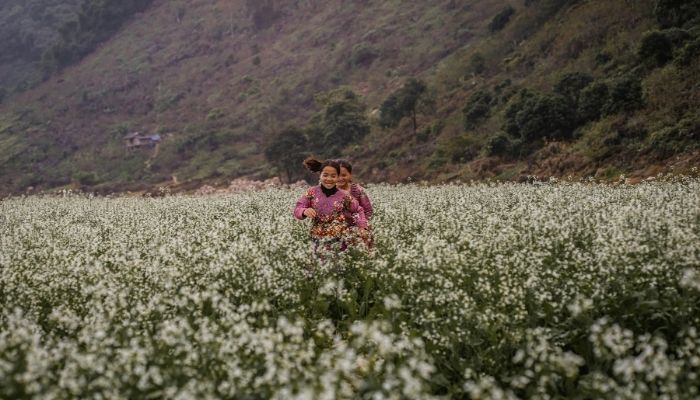 thiên nhiên mát lành
