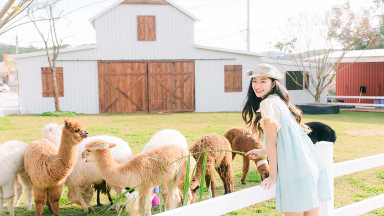 farm