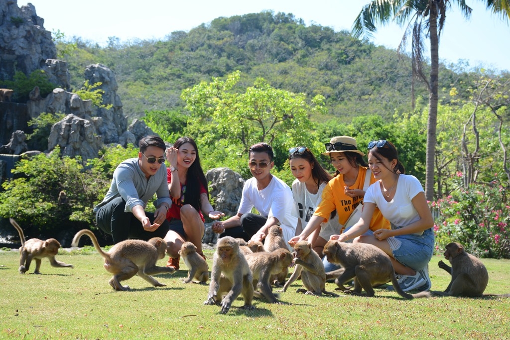 Đến thăm “hoa quả sơn” thu nhỏ tại đảo khỉ Nha Trang