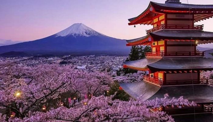 Tour Nhật Bản Mùa Hoa Anh Đào: Osaka – Nara – Kobe (5N4Đ)