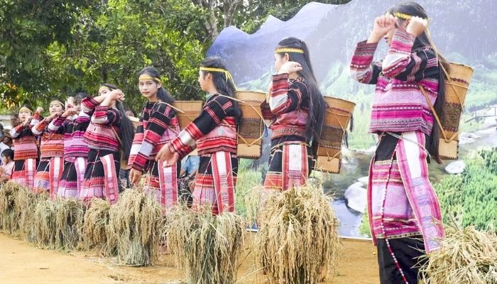 Lễ Hội Mừng Lúa Mới tại Tây Nguyên – Nét Văn Hóa Nông Nghiệp Đậm Đà Bản Sắc