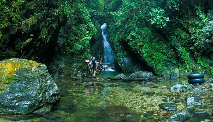 Vườn Quốc Gia Xuân Sơn – Thiên Nhiên Hoang Sơ Giữa Núi Rừng Phú Thọ Không Thể Bỏ Lỡ