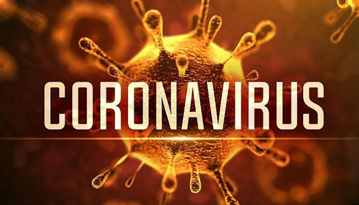 Virus corona là gì?