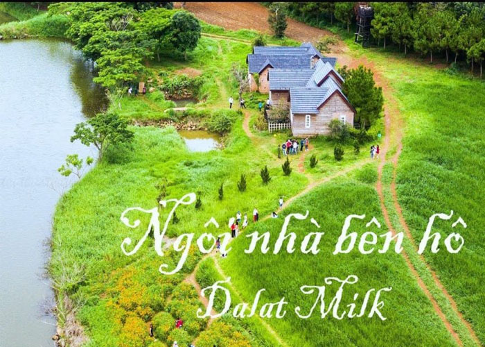 DaLat Milk Farm – Hà Lan vạn người mê tại Đà Lạt