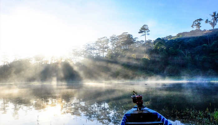 Hồ Tuyền Lâm Đà Lạt tinh khôi trong sương sớm